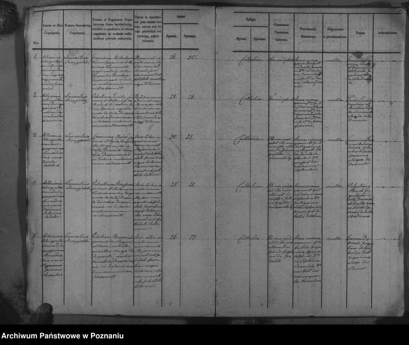Obraz 5 z jednostki "Duplicat baptisatorum, copulatorum, mortuorum"