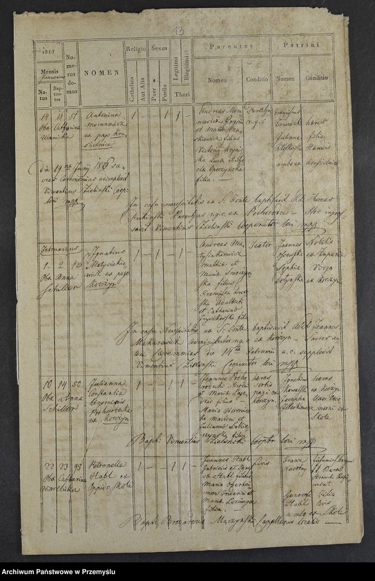 Obraz 15 z jednostki "[Odpisy ksiąg urodzeń, małżeństw, zgonów parafii rzymskokatolickiej Żurów z lat 1823-1827]"