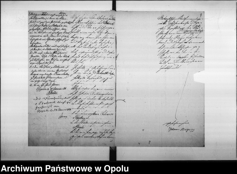 Obraz 9 z jednostki "Acta des Magistrats zu Oppeln betreffend die dem p. Bobreck ertheilte Erlaubniß zum Kleinhandel mit geistigen Getränke und zur Errichtung eines Kaffen=Etablissements in seinem Hause No 35 Odervorstadt so wie die Denunciation des p. Angres"