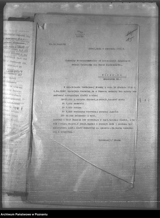 Obraz 19 z jednostki "Ogólne"