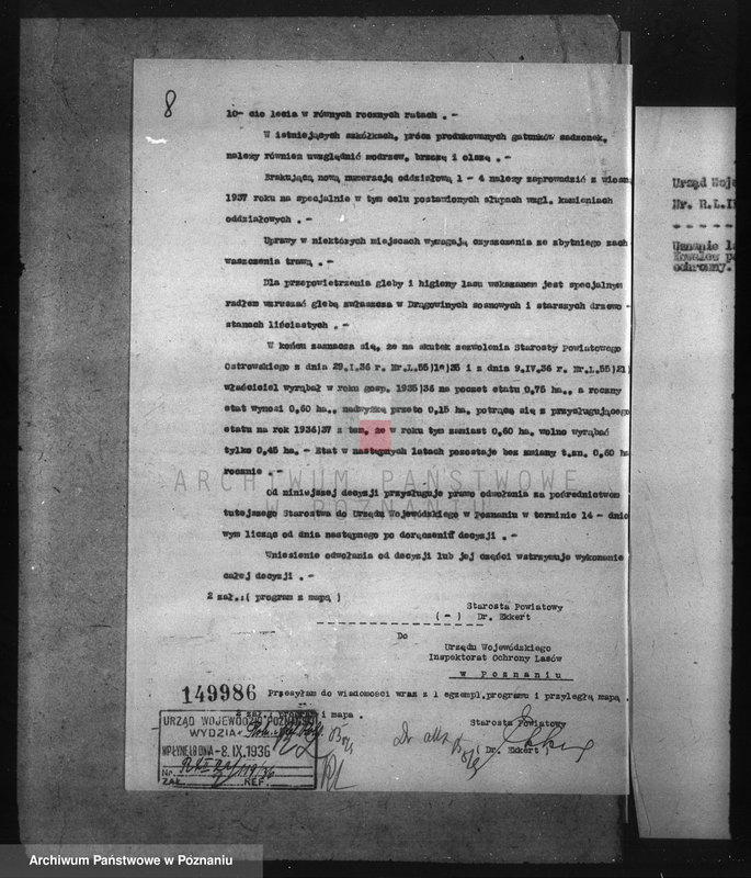 Obraz 13 z jednostki "Nadzór nad gospodarką w lasach majątku Billczew-Kowalew powiat obornicki"