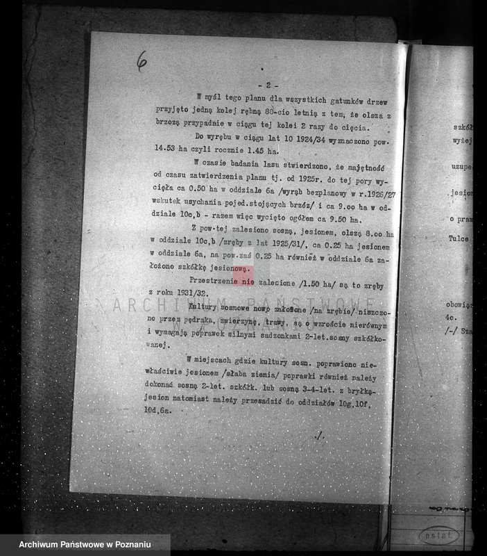 Obraz 10 z jednostki "Nadzór nad gospodarką w lasach majętności Tulce powiat średzki"