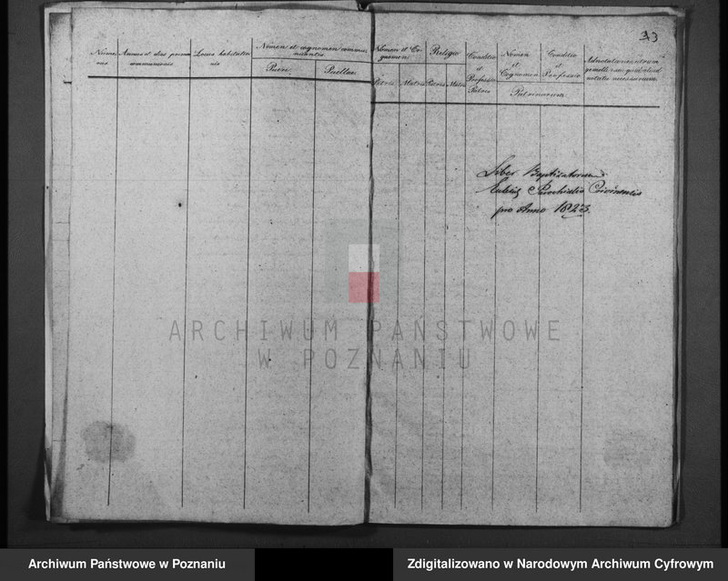 Obraz 5 z jednostki "Duplicatum baptisatorum, copulatorum, mortuorum"