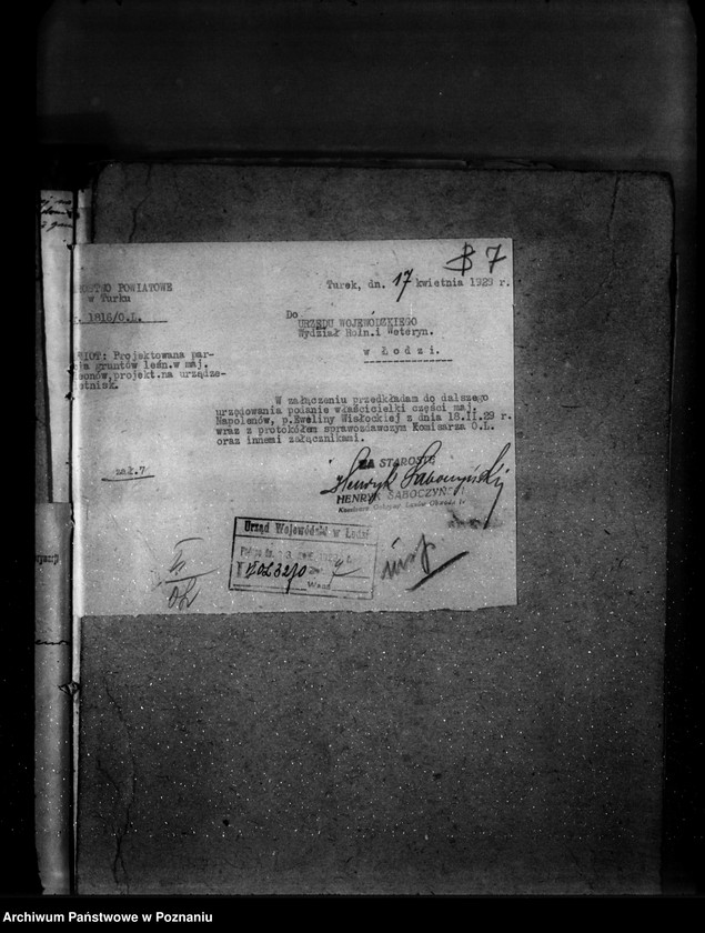 Obraz 11 z jednostki "Las majątku Napoleonów nr 1 własność Eweliny Wisłockiej powiat turecki"