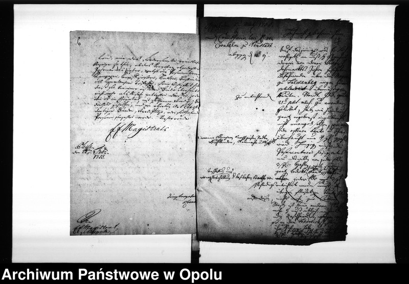 Obraz 10 z jednostki "Acta des Magistrats zu Oppeln von den hiesigen Cram-Woll-Vieh und Wochenmärckten"
