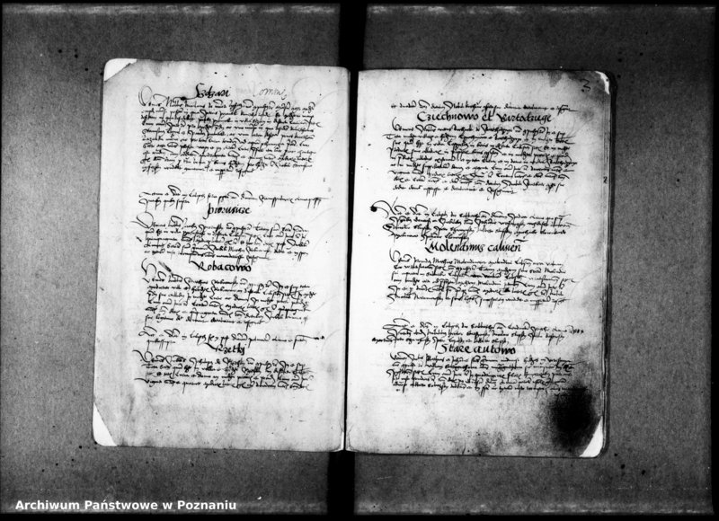 Obraz 8 z jednostki "Resignationes [inducta;protocollon]"