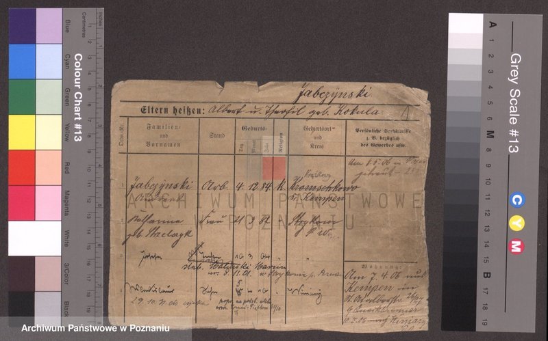 Obraz 1 z jednostki "Ja - Jachczyk"