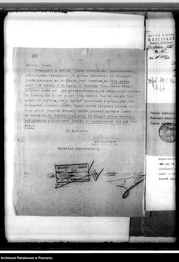 Obraz 14 z jednostki "Sprawa likwidacji serwitutów w lasach majątku Mycielin własność A. Doruchowskiego gmina Kościelec powiat kaliski"