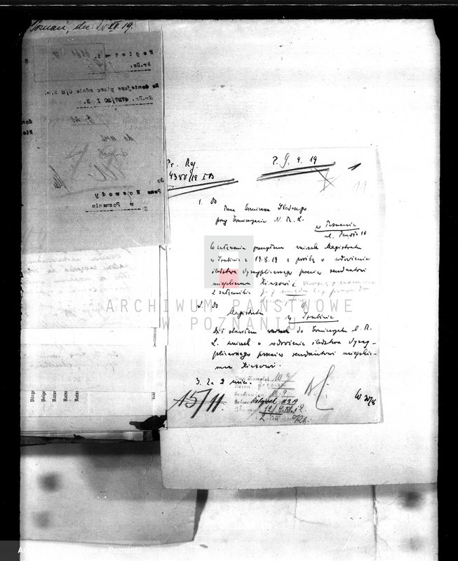 Obraz 15 z jednostki "Urzędnicy Komunalni miasta Szubina"