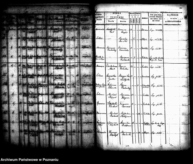 Obraz 12 z jednostki "Księga zgonów"