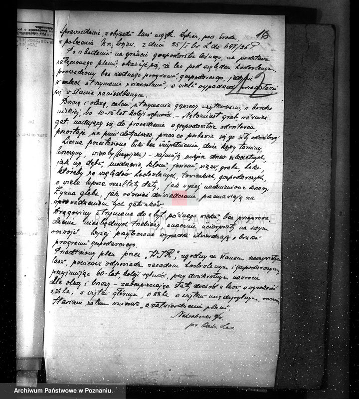 Obraz 20 z jednostki "Nadzór nad gospodarką w lasach majętności Dębicz powiat średzki"