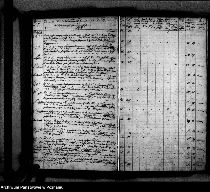 Obraz 10 z jednostki "Traubuch"