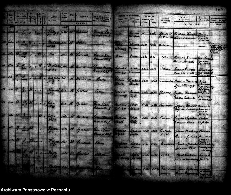Obraz 17 z jednostki "Księga urodzin"