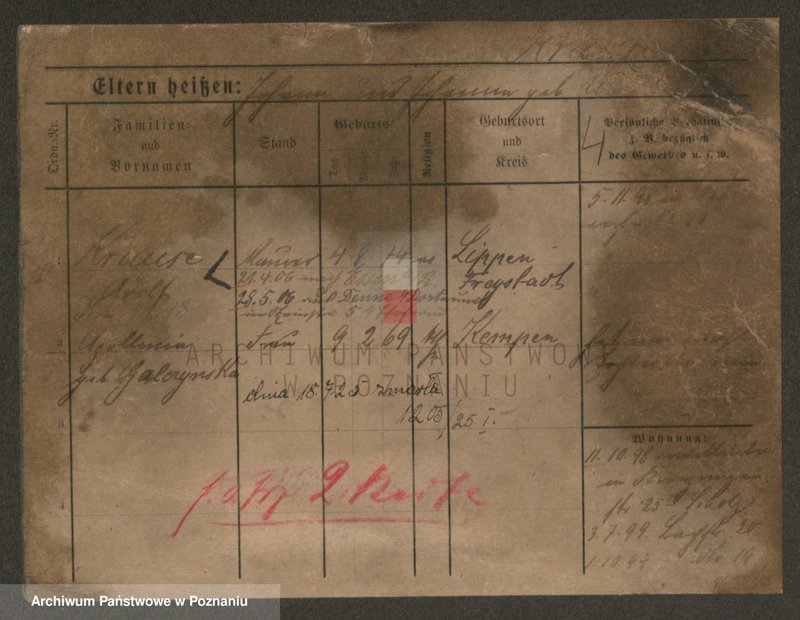 Obraz 4 z jednostki "Krause (żonaci i wdowy)"