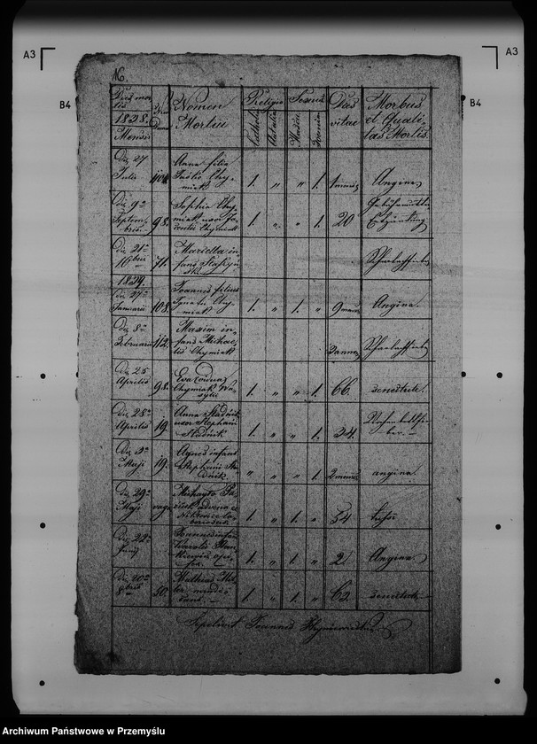 Obraz 20 z jednostki "[Kopie ksiąg metrykalnych parafii Rudki (dekanat Rudki)]"