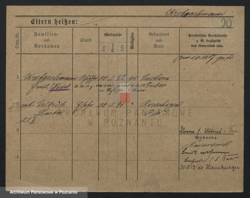 Obraz 20 z jednostki "Kreczman - Krenauer"