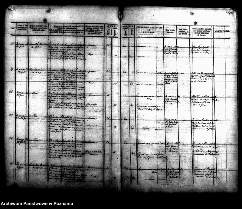 Obraz 10 z jednostki "Księga małżeństw"