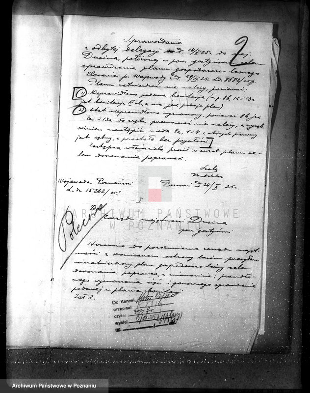 Obraz 6 z jednostki "Nadzór nad gospodarką w lasach majątku Dusina w powiecie gostyńskim"