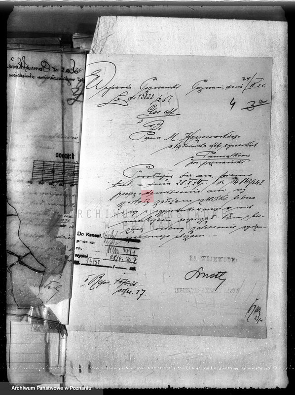 Obraz 10 z jednostki "Nadzór nad gospodarką w lasach majętności Pamiątkowo powiat obornicki"