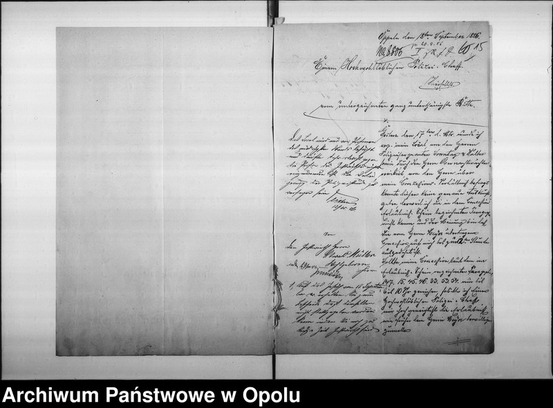 Obraz 16 z jednostki "Acta des Magistrats zu Oppeln betreffend die Schank-Anlage in Rademacher