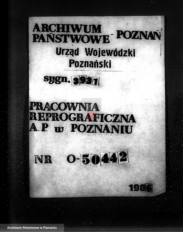 Obraz 1 z jednostki "Zalesienie nieużytków powiatu tureckiego"