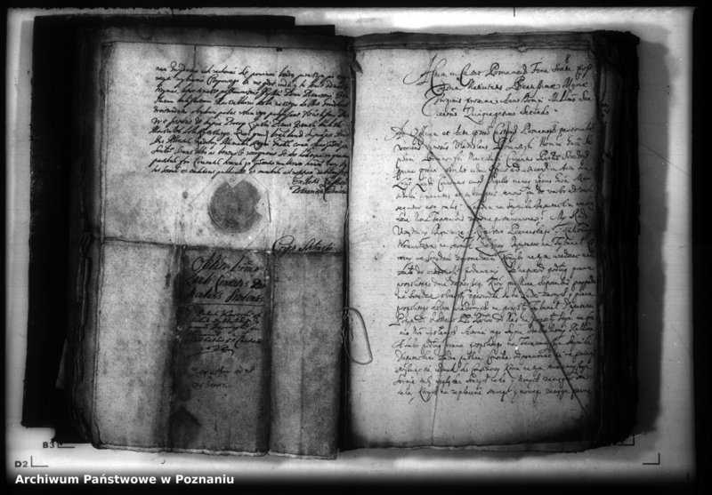 Obraz 11 z jednostki "Lauda [acticantia]"