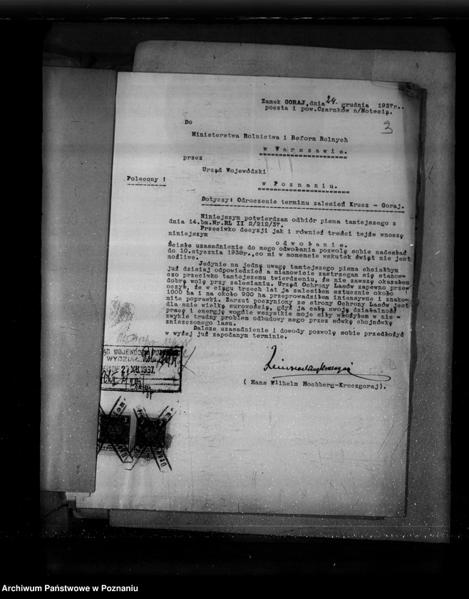 Obraz 9 z jednostki "Sprawa zalesienia majątku Krucz-Goraj"