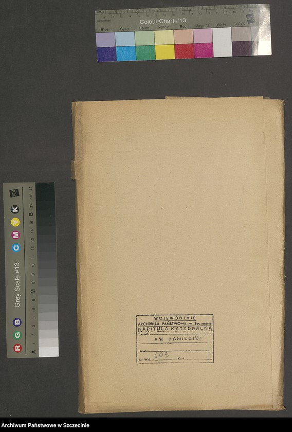 image.from.unit.number "Domkapitel contra Advocatum fisci betr. Strandgerechtigkeit."