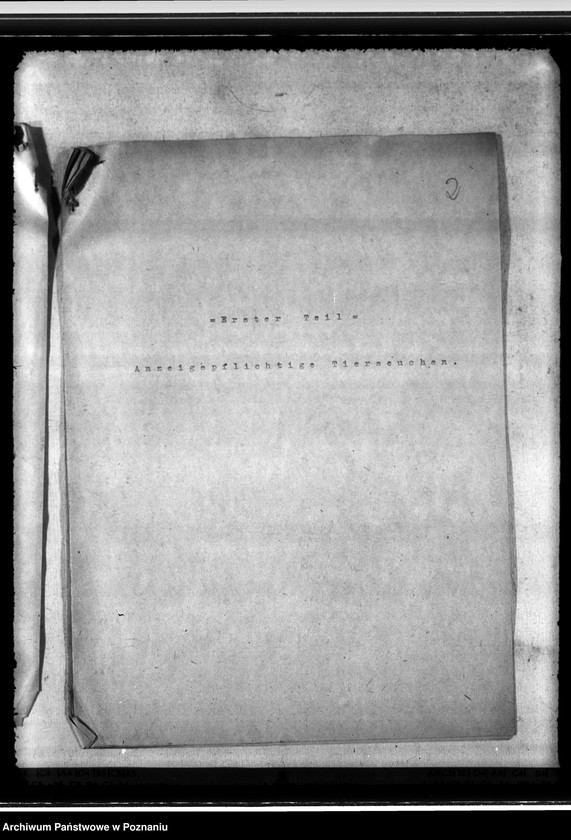 Obraz 6 z jednostki "Jahresveterinärbericht der Regierungs- Veterinärratstelle des Kreises Hermannsbad"