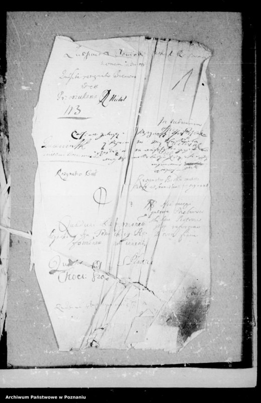 Obraz 3 z jednostki "Resignationes [inducta]"