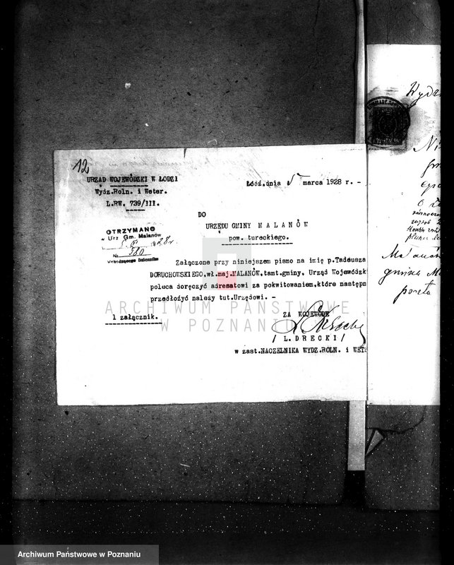 Obraz 19 z jednostki "Uznanie za ochronne powierzchni około 25 ha terenów leśnych pod nazwą,,Bibianna" należących do majątku Malanów powiat turecki"