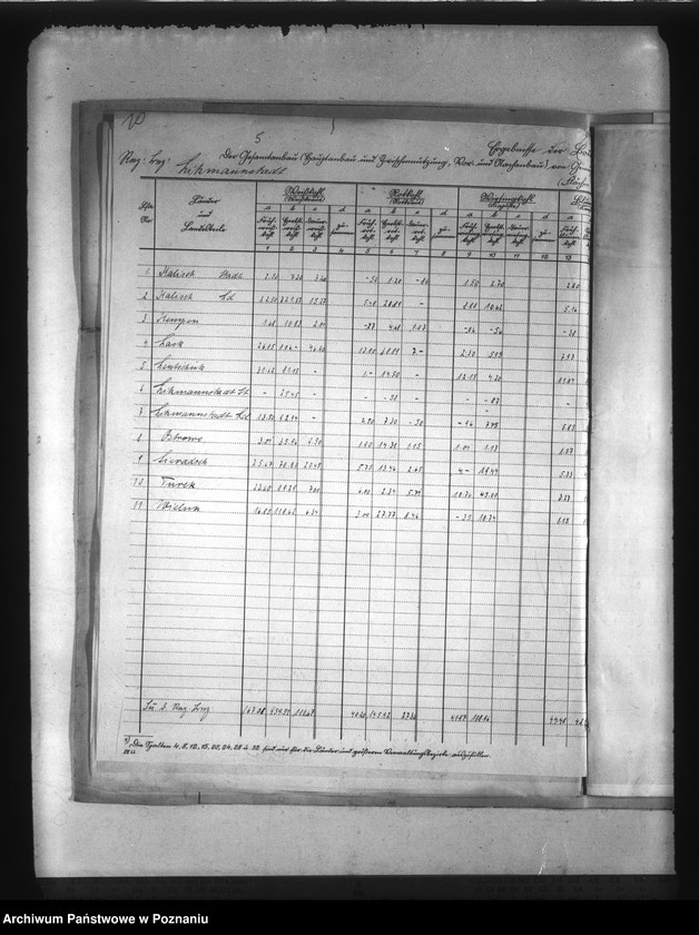 Obraz 13 z jednostki "Statystyka użytków rolnych w Kraju Warty"