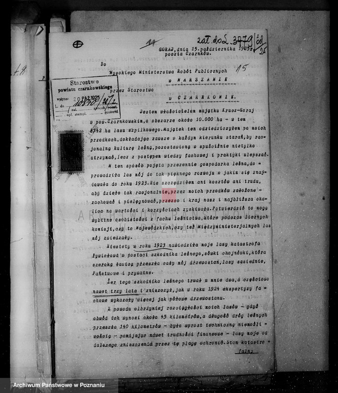 Obraz 19 z jednostki "Majętności leśne w Krucz-Goraju w powiecie czarnkowskim"