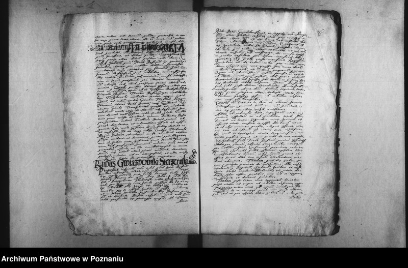 Obraz 10 z jednostki "Decreta [inducta]"