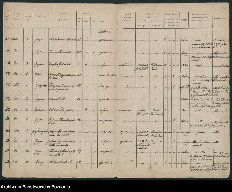 Obraz 7 z jednostki "Księga zgonów"