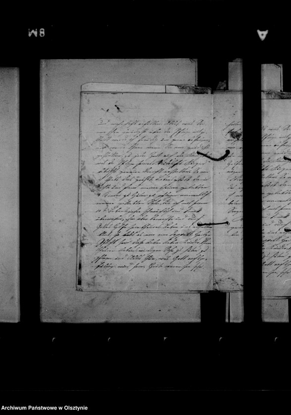 image.from.unit.number "/Briefe des Hauslehrers Dr. G. Molwitz an Anna Gfin Lehndorff/"