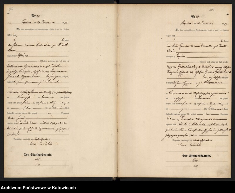 image.from.unit.number "Księga urodzeń T.1 nr 1-356"