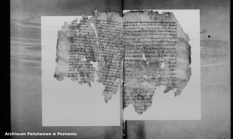 Obraz 5 z jednostki "Decreta officii [inducta]"