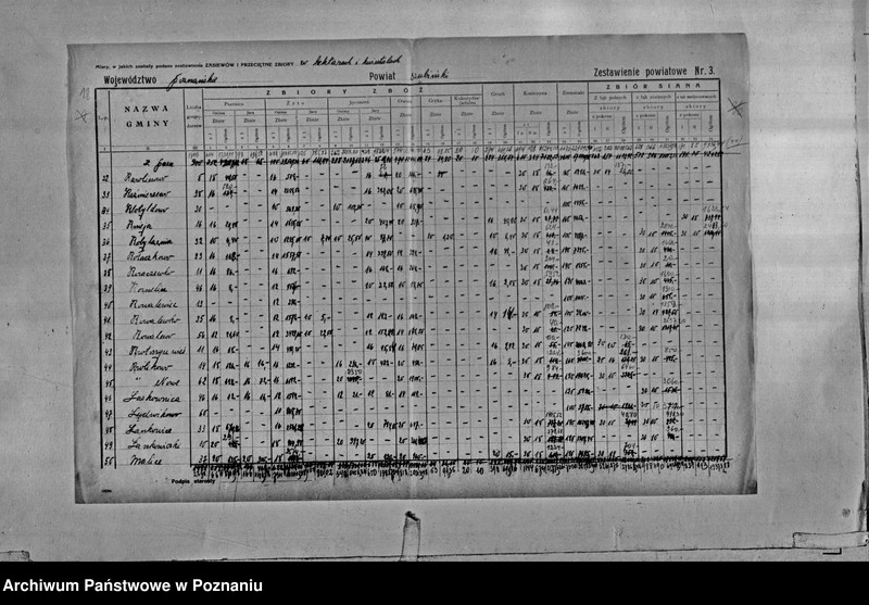 Obraz 20 z jednostki "/Statystyka produkcji rolnej - zestawienie powiatowe - Szubin"