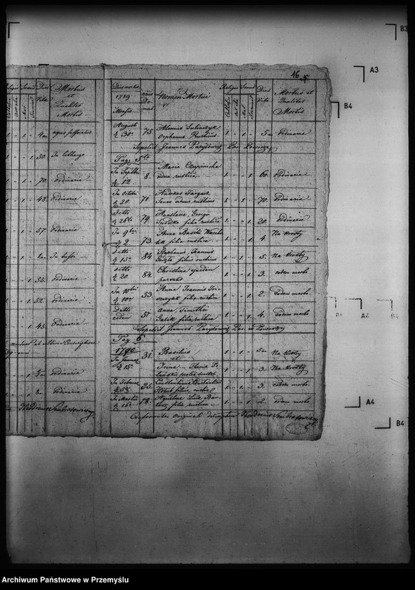 Obraz 20 z jednostki "[Kopie ksiąg metrykalnych parafii Powroźnik (dekanat Muszyna)]"