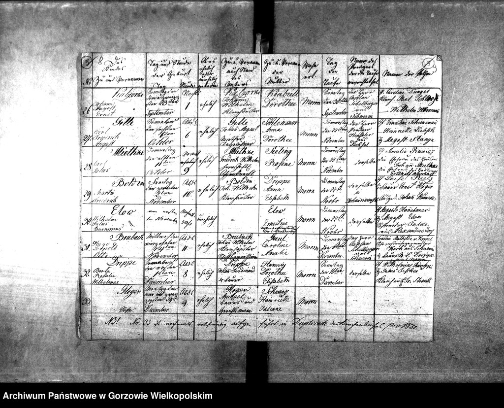 image.from.unit.number "Duplikate der Kirchenbücher von der Parochie Morrn: Morrn (Murzynowo), Johanneswunsch (Dobrojewo), Alexandersdorf (Gościnowo), Pollychen (Stare Polichno)"