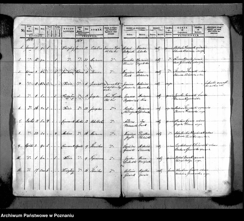 Obraz z jednostki "Liber baptisatorum"