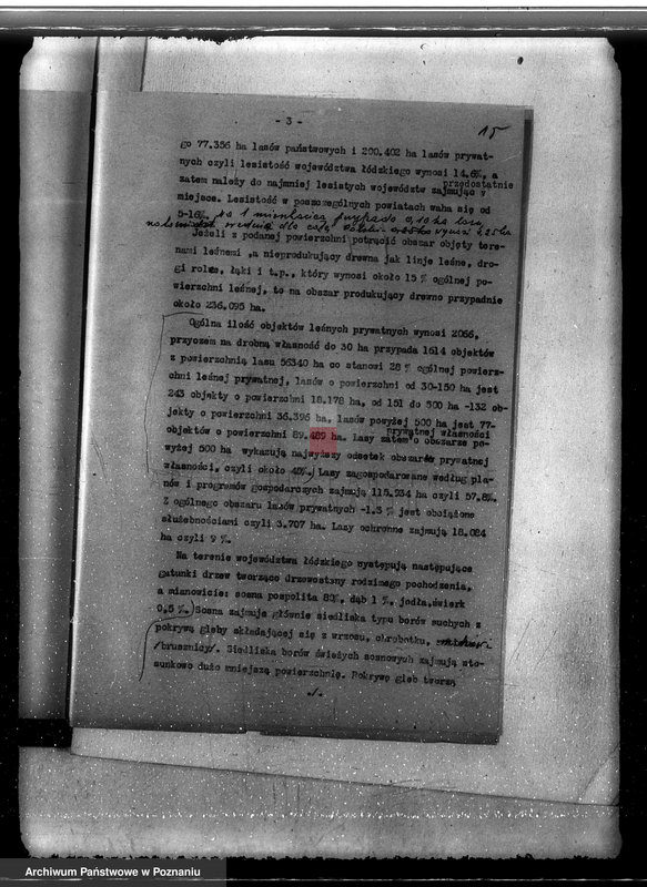 Obraz 18 z jednostki "Sprawa pojawienia się borecznika w lasach majątku Dąbia powiatu kolskiego"