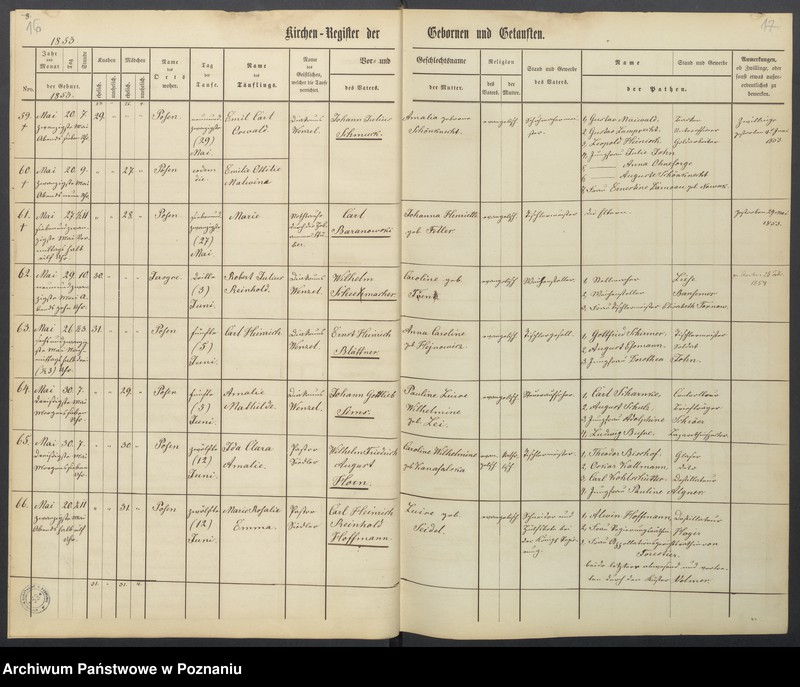 Obraz 11 z jednostki "Verzeichniss der Gebornen und Getauften, Getrauten, Verstorbenen"