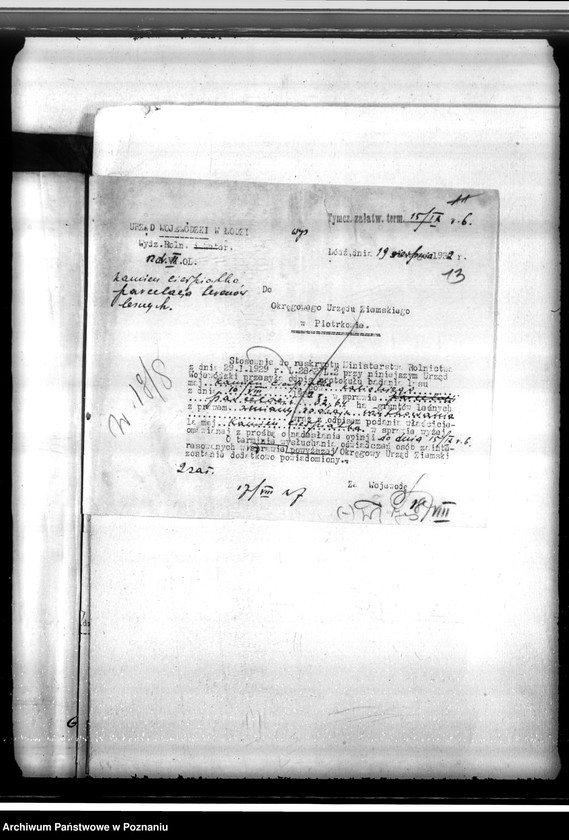 Obraz 17 z jednostki "Majątek Kamień-Cierpiatki powiat kaliski /sprawy leśne/"