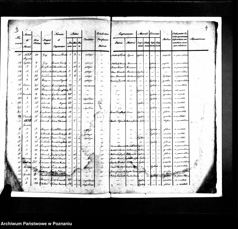 image.from.unit.number "Liber mortuorum"
