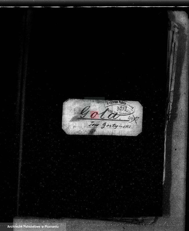 Obraz 4 z jednostki "Majętność leśna Gola w powiecie gostyńskim"