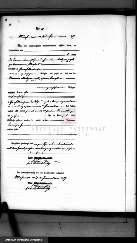 Obraz 11 z jednostki "Księga urodzeń"