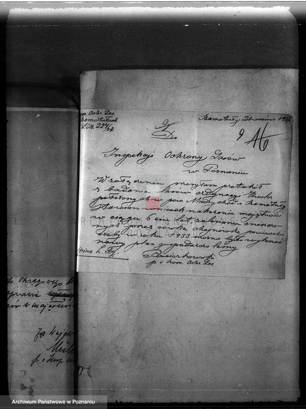 Obraz 13 z jednostki "Majętność leśna w Kwilczu w powiecie międzychodzkim"