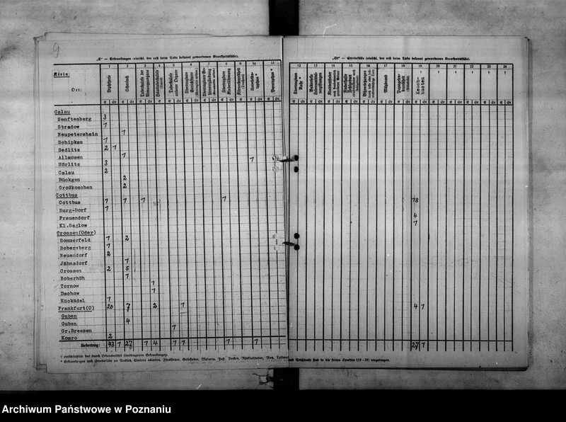 Obraz 13 z jednostki "Nachweisungen der Fälle von übertragbaren Krankheiten"